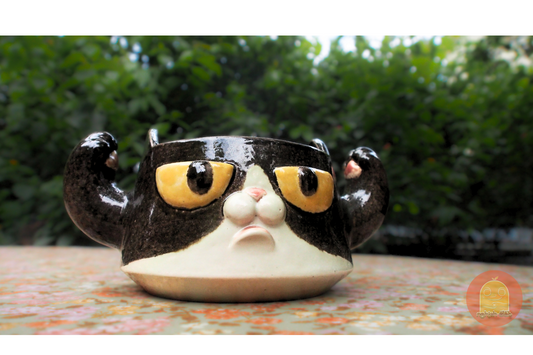 Mug-bowl Cat Mowl